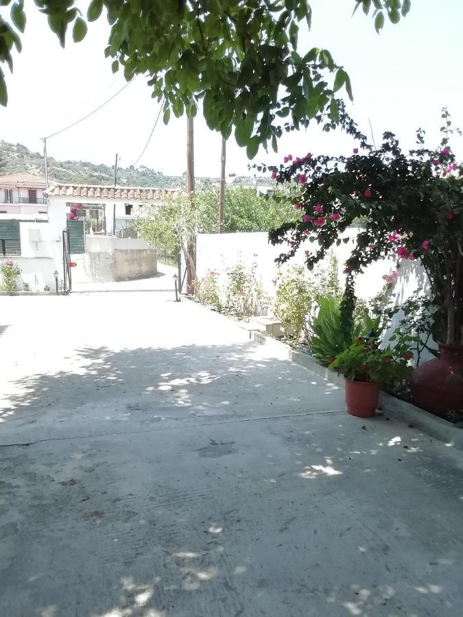 Stoudios Galini Lägenhet Skopelos stad Exteriör bild